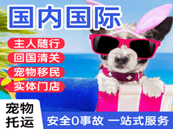 芒市航空快递国际宠物托运 【国